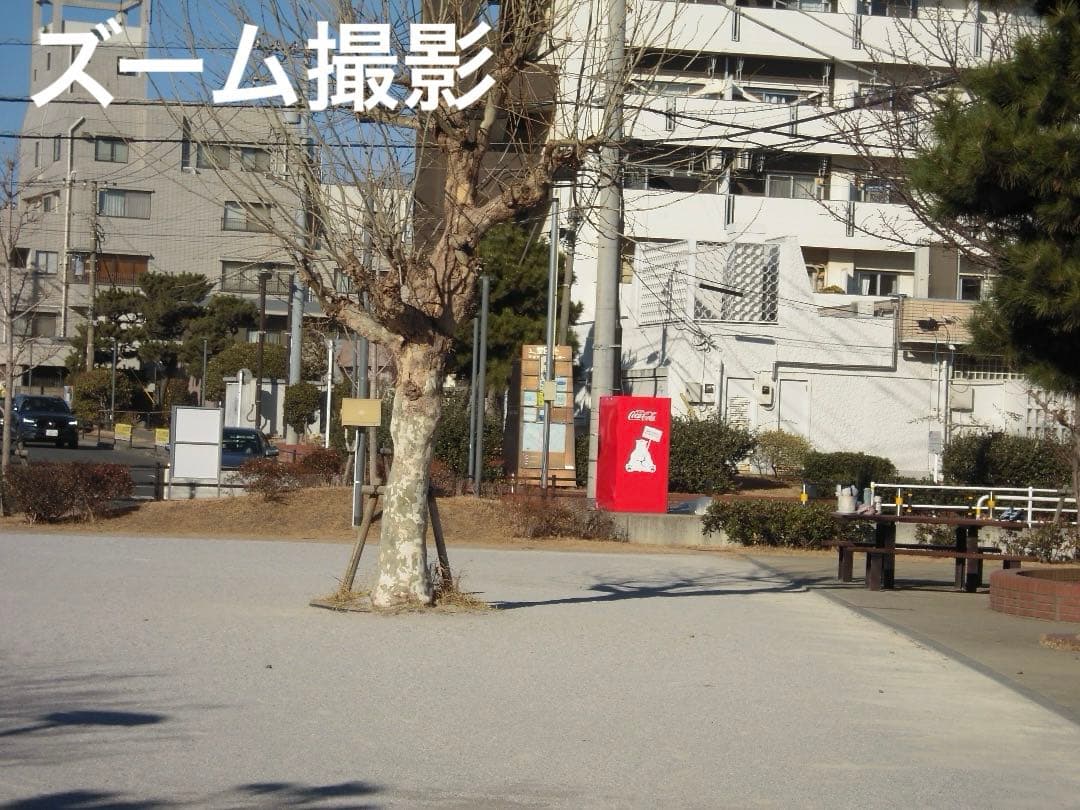 実写美⭕️良品【動作確認済】 Nikon COOLPIX S620 デジカメ