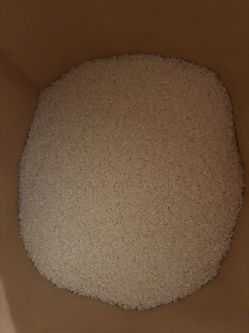 令和6年産 国内産ブランド MIX米 約30キロ 精米済