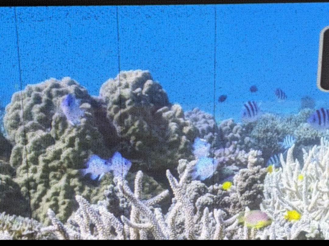 【美品】popIn Aladdin プロジェクター２【動作OKドット抜けあり】