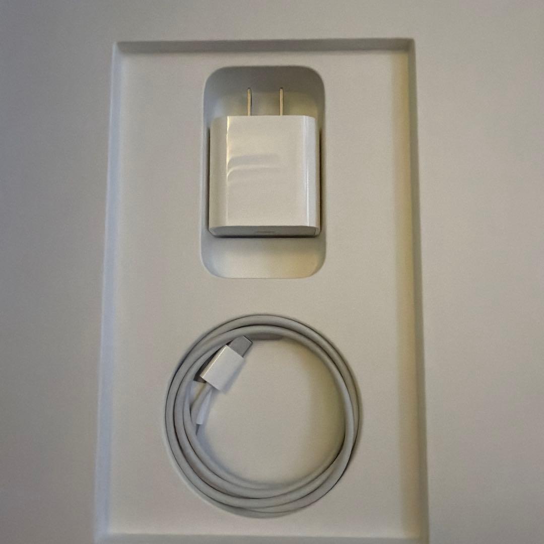 Apple iPad Pro 第3世代 256GB セルラー　スペースグレー