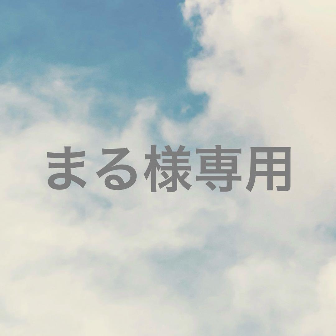 ☆まる☆アシーナニューヨークペイズリー柄折り畳み傘