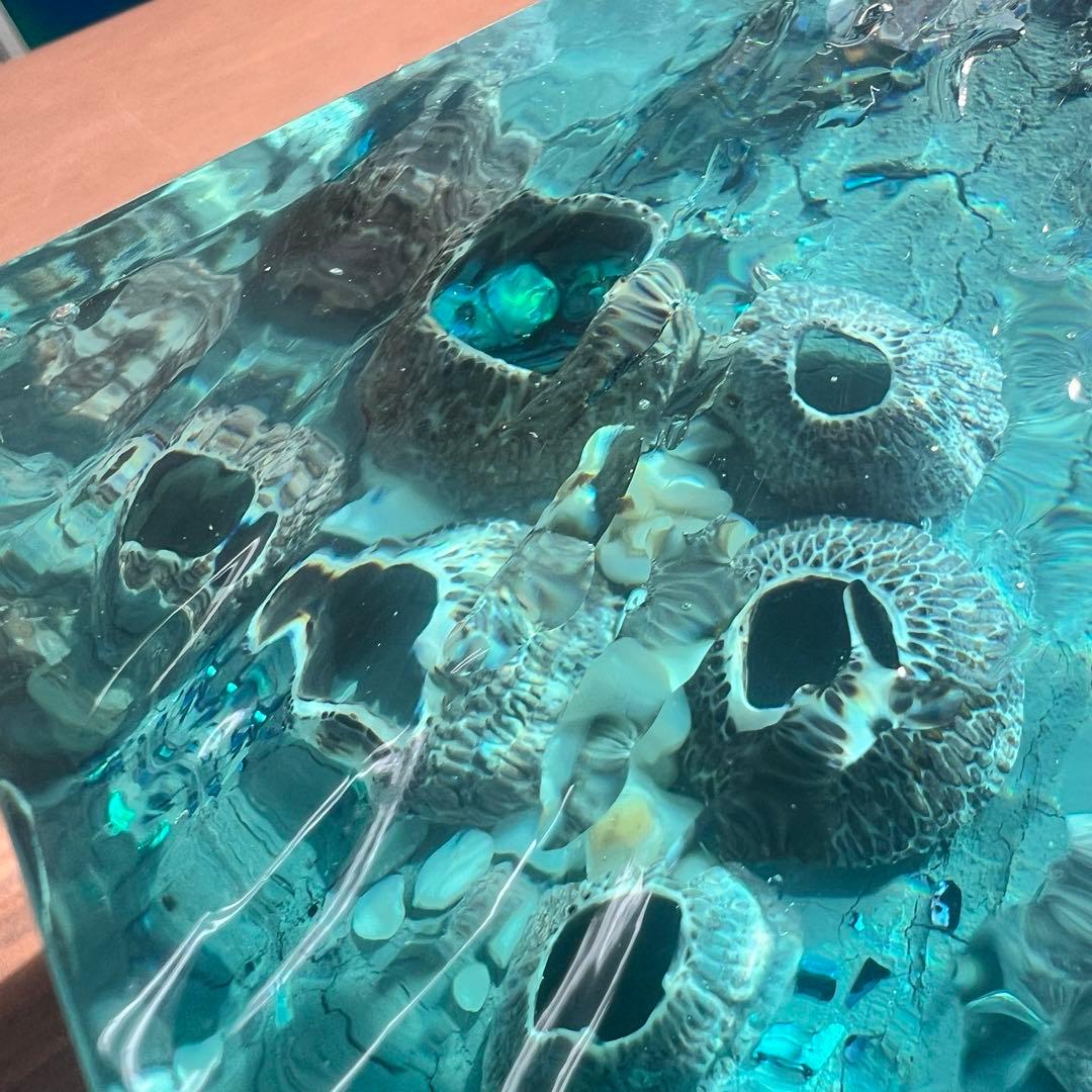 【波紋アート】フジツボアート／barnacle／オブジェ／10cmプリズム