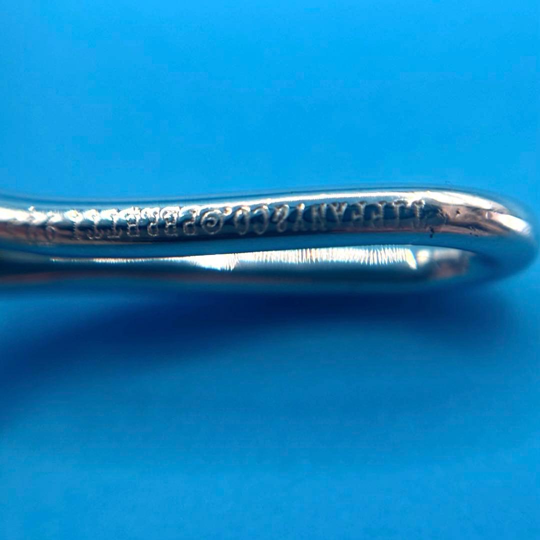 TIFFANY&Co.【極美品・廃盤】インフィニティクロスネックレスラージ付属品