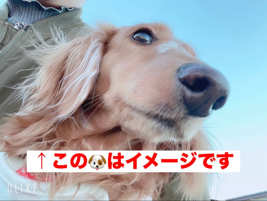 G.m商会　タイヤ