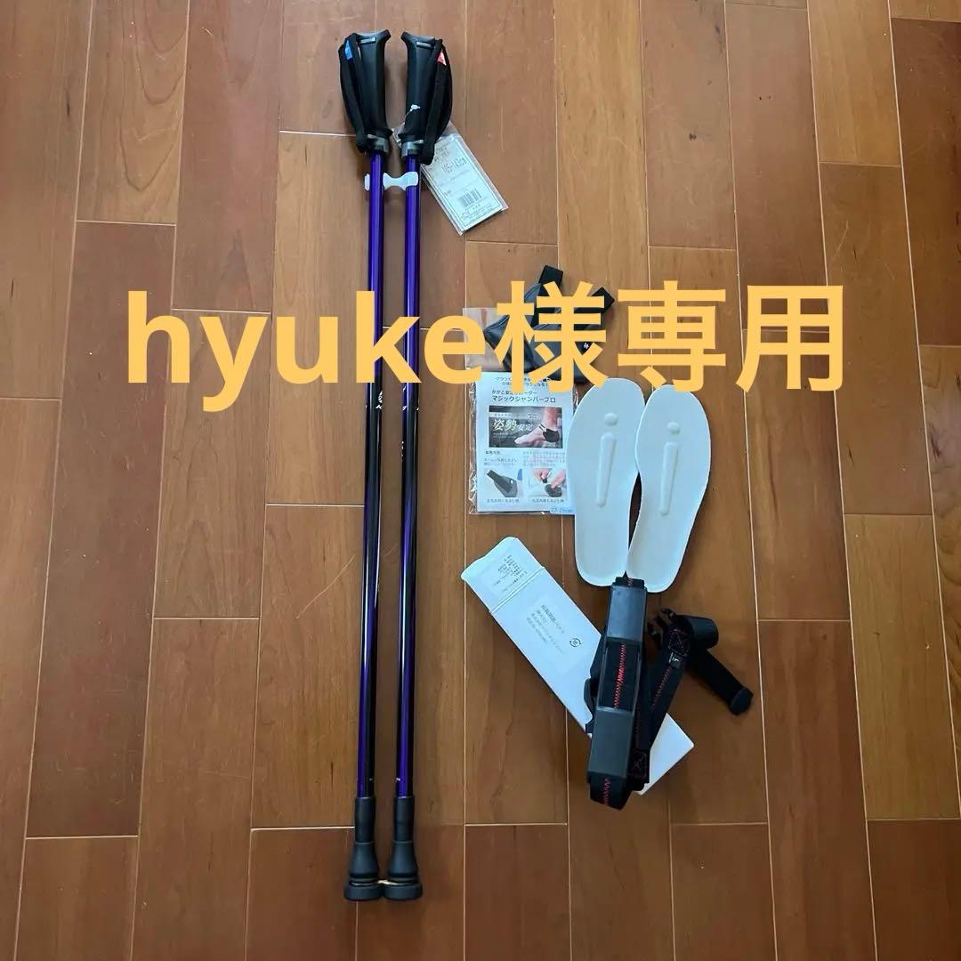 カワハラウォーキング　5点セット