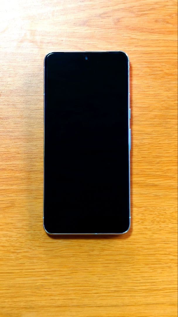 【1/31まで限定値下げ】Google Pixel 8Pro 256GB 本体