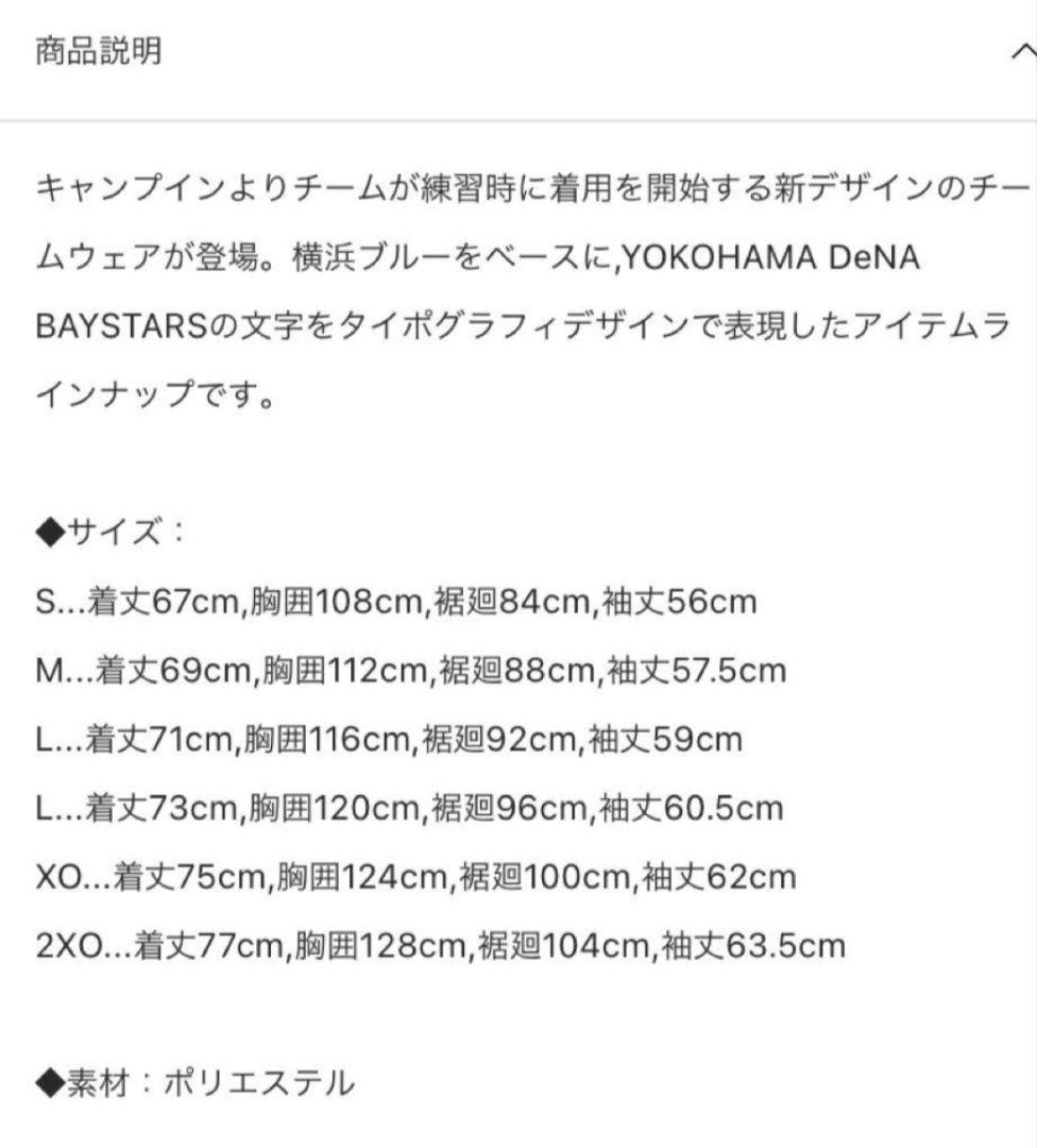 横浜DeNAベイスターズ オーセンティックチームウェア フーディ　パーカー