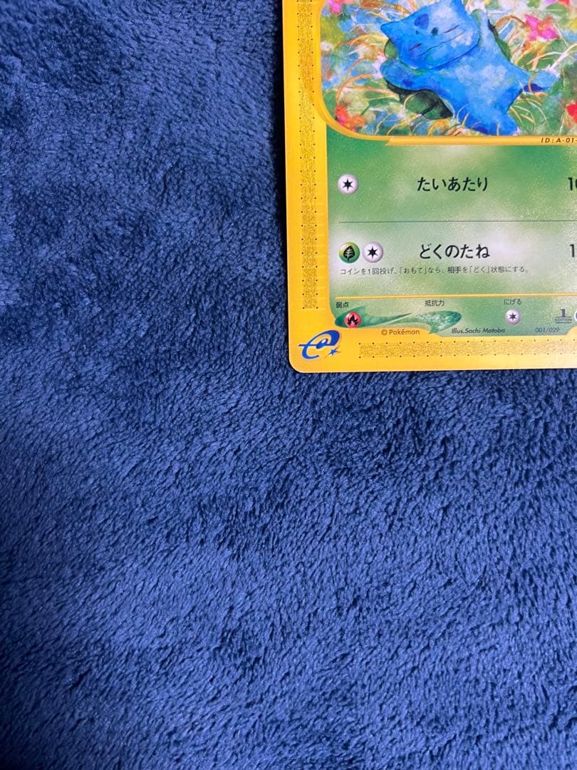 フシギダネ スターターパック 24時間以内発送 引退品