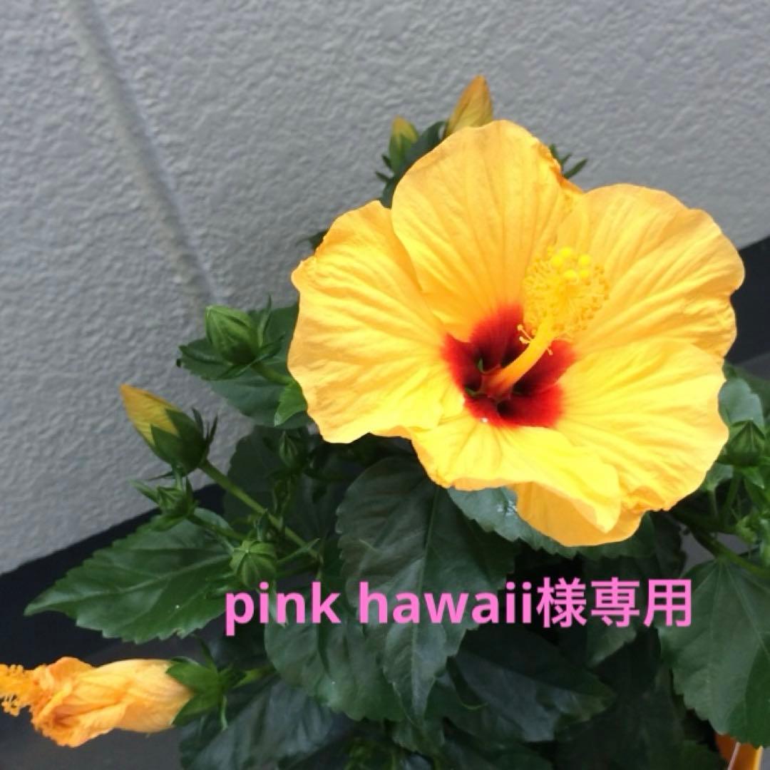 ハワイアンキルトバッグ　ハイビスカス