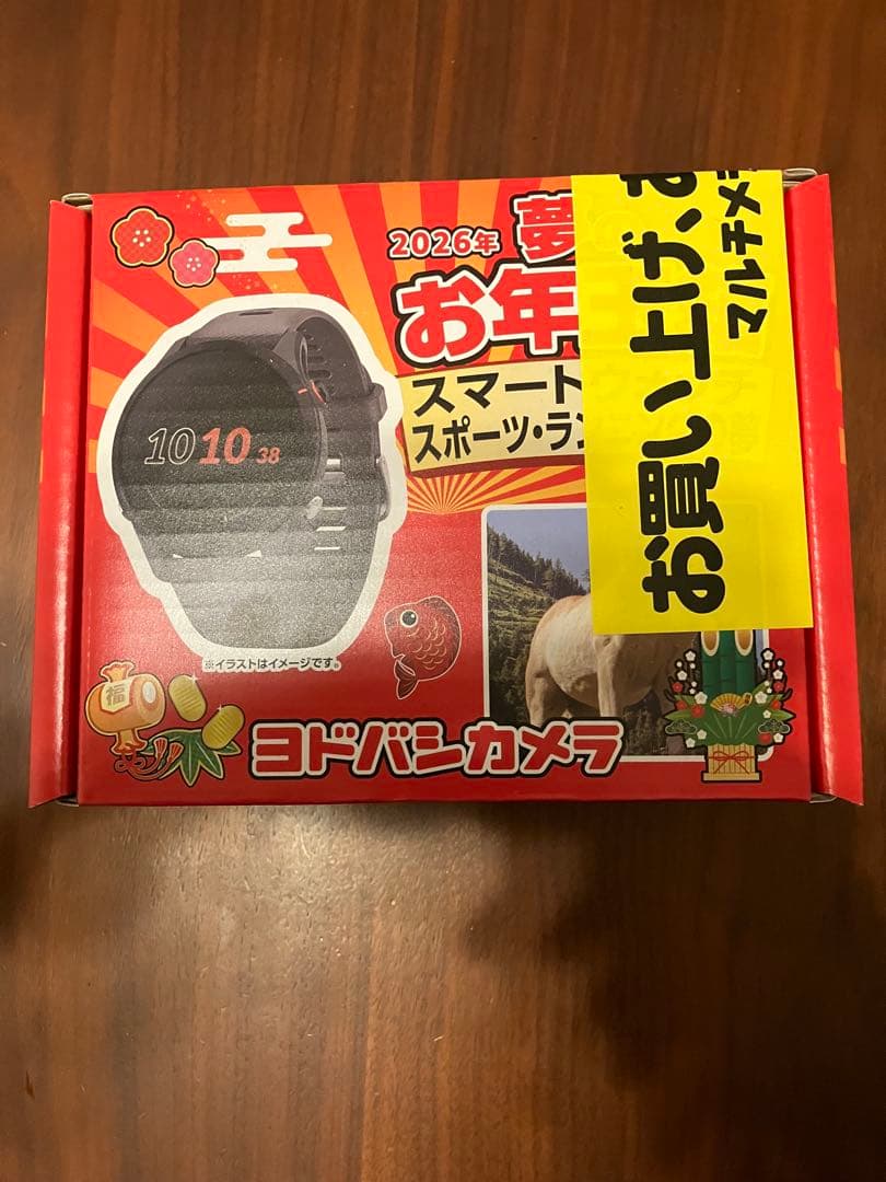 【ヨドバシ 福袋】GARMIN Forerunner 255【未使用品】