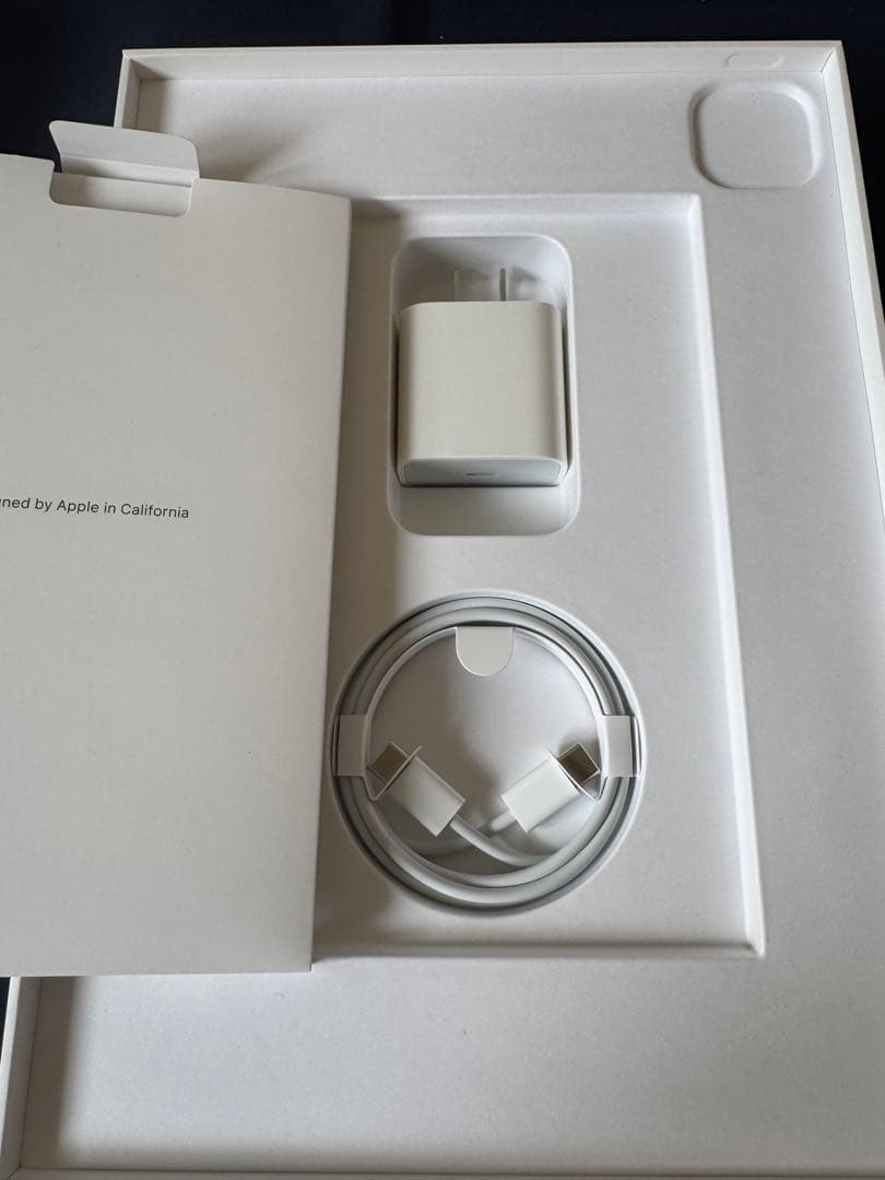 iPad Pro 11インチ 第2世代とApple Pencil セット販売