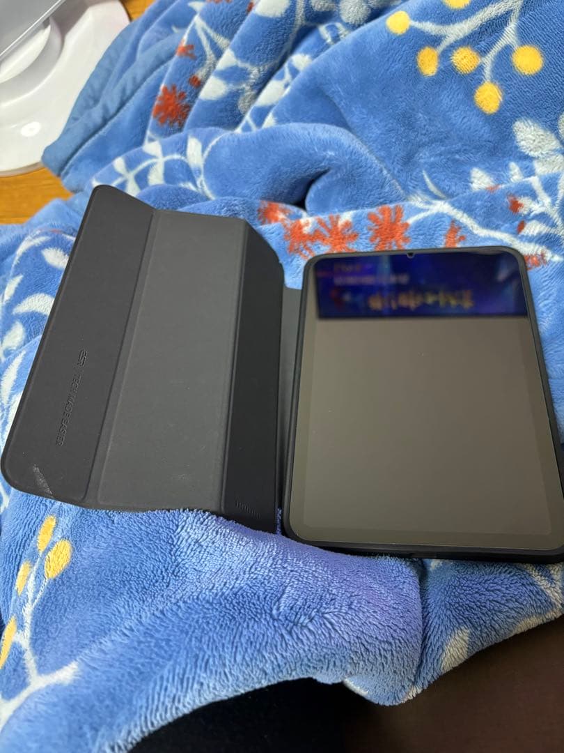 (極美品)ipad mini6 本体