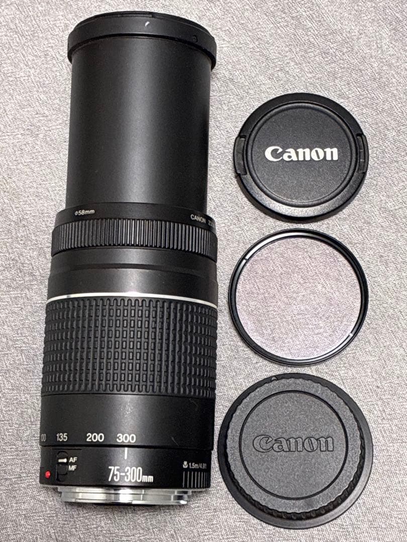 ⭐️美品⭐️ Canon EF 75-300mm F4-5.6 III 望遠レンズ