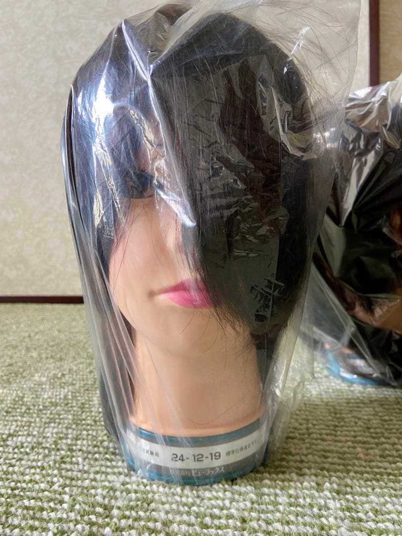 ビューラックス 美容師実技試験用 カットウィッグ 未使用10体