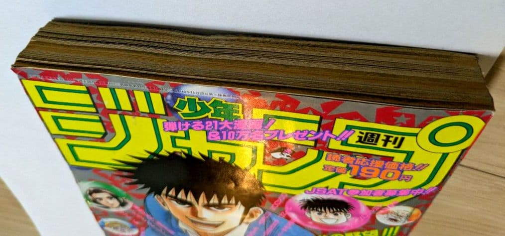 週刊少年ジャンプ　1995年 No.25 DRAGON BALL 最終回掲載号