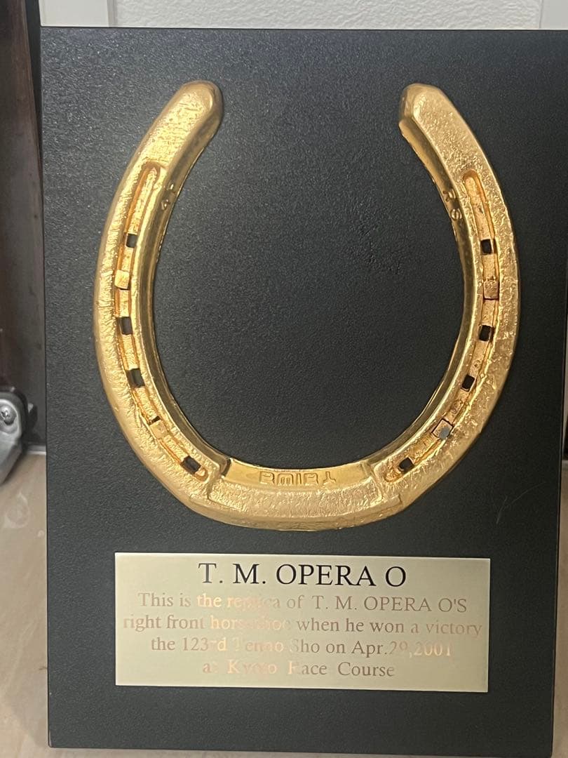 テイエムオペラオー蹄鉄の盾