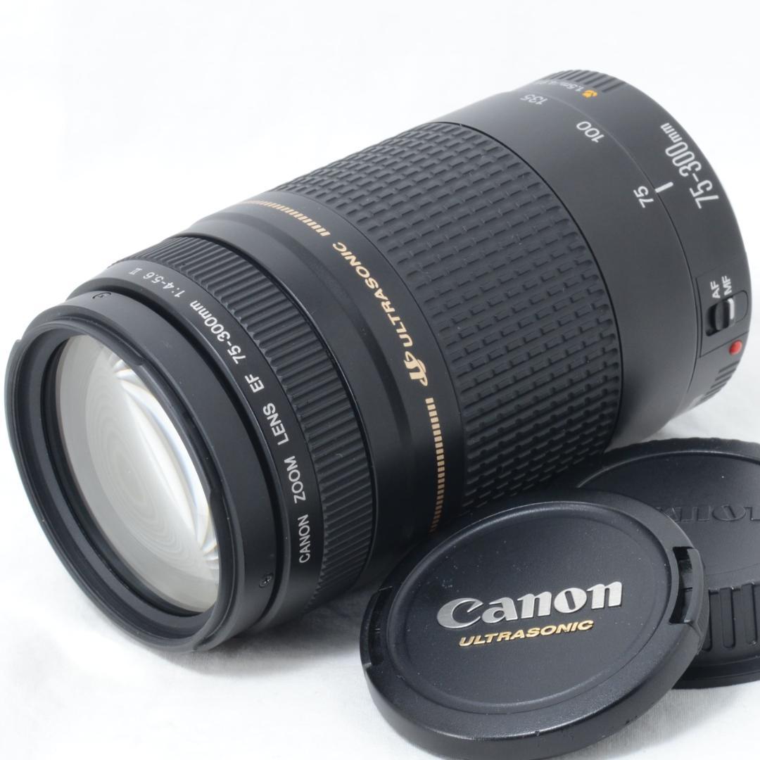 ⭐️良品⭐️Canon キャノン EF 75-300mm F4-5.6 ⅡUSM
