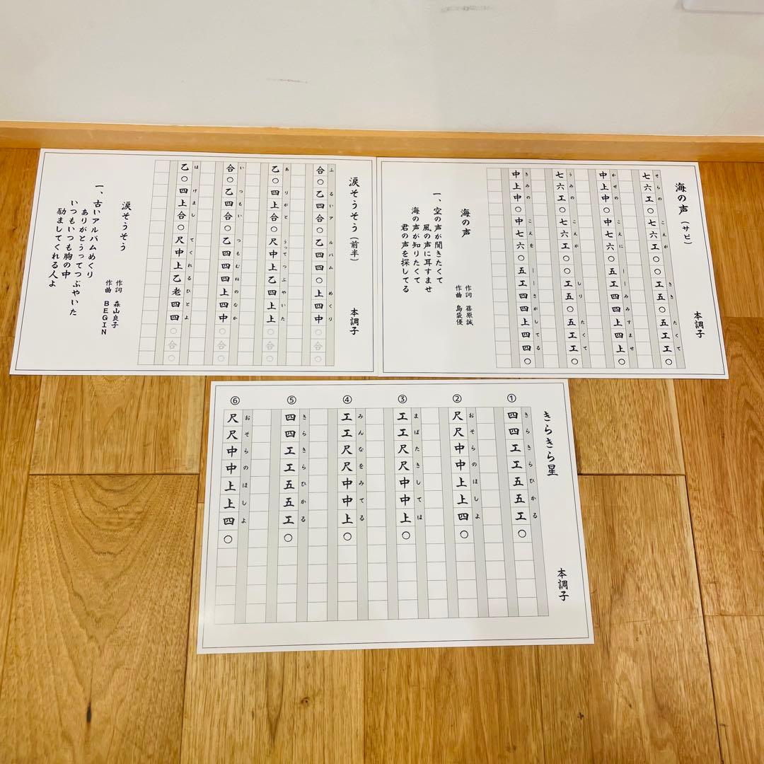 三線 沖縄 初心者セット 人工皮 ケース 爪 教本 set 三味線　送料込