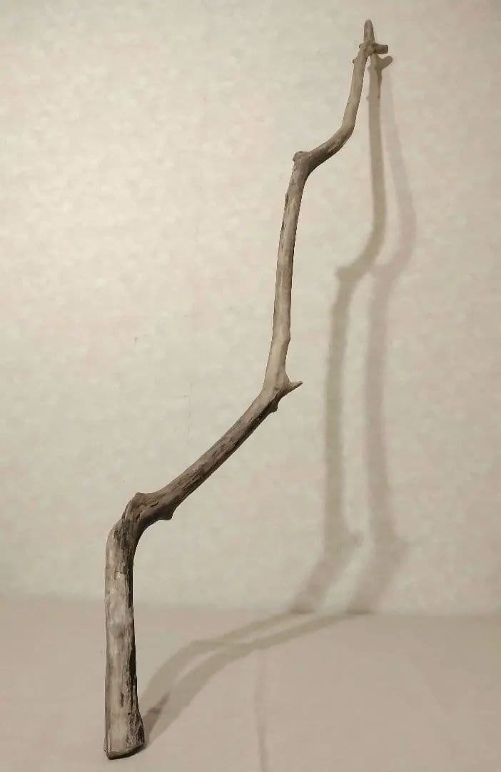 【希少】ガーデニング・DIY向け 超特大サイズロング流木 約160cm