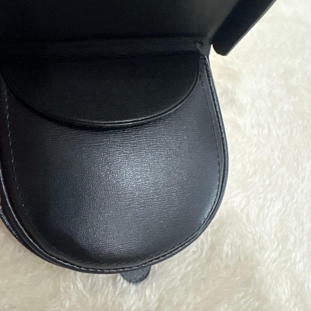 未使用　Cartier カルティエ レザーケース　パシャ　レディース小物