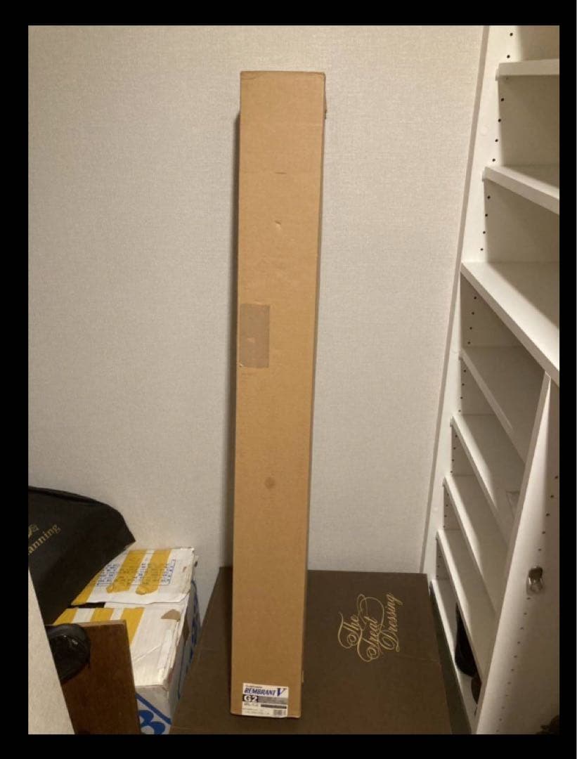 レンブラント　REMBRANT V バラ板ロール紙