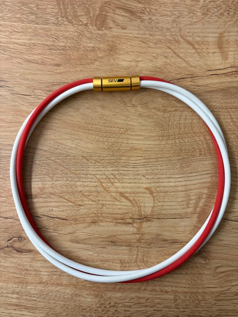 【美品】SEVルーパー　3G サイズ46