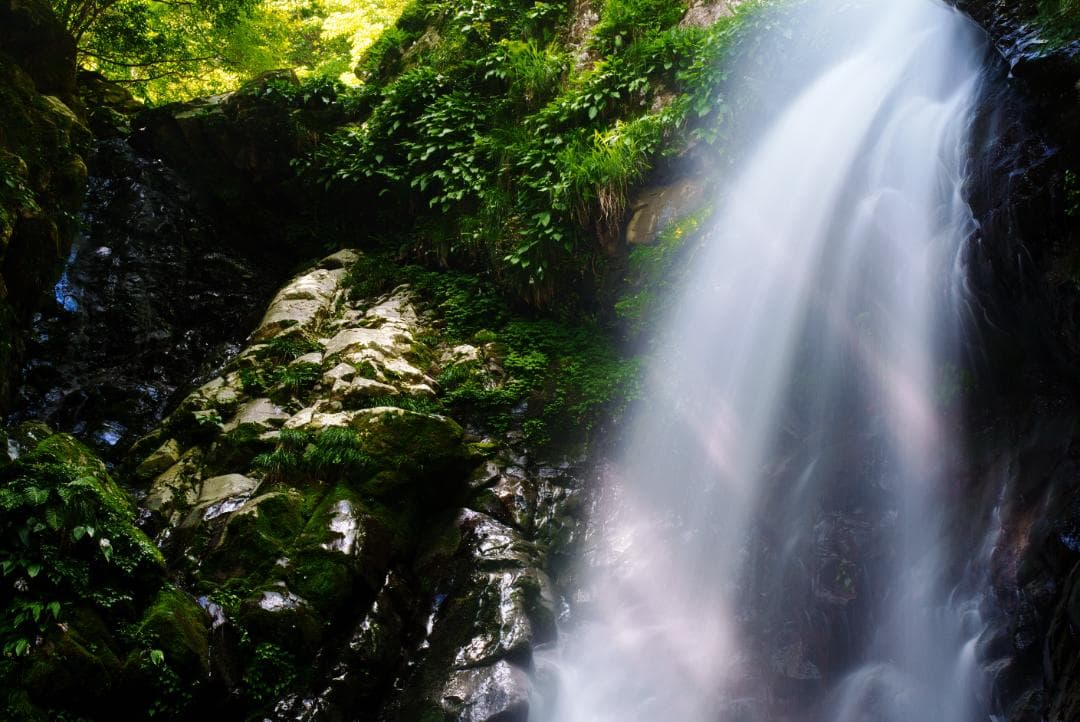 Carl Zeiss Batis 40mm F2 CF レンズ1本だけ残すなら