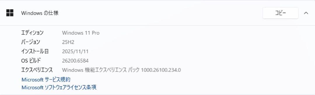 初期設定済み Lenovo E31 SSD+HDD搭載　Win11Pro 8GB