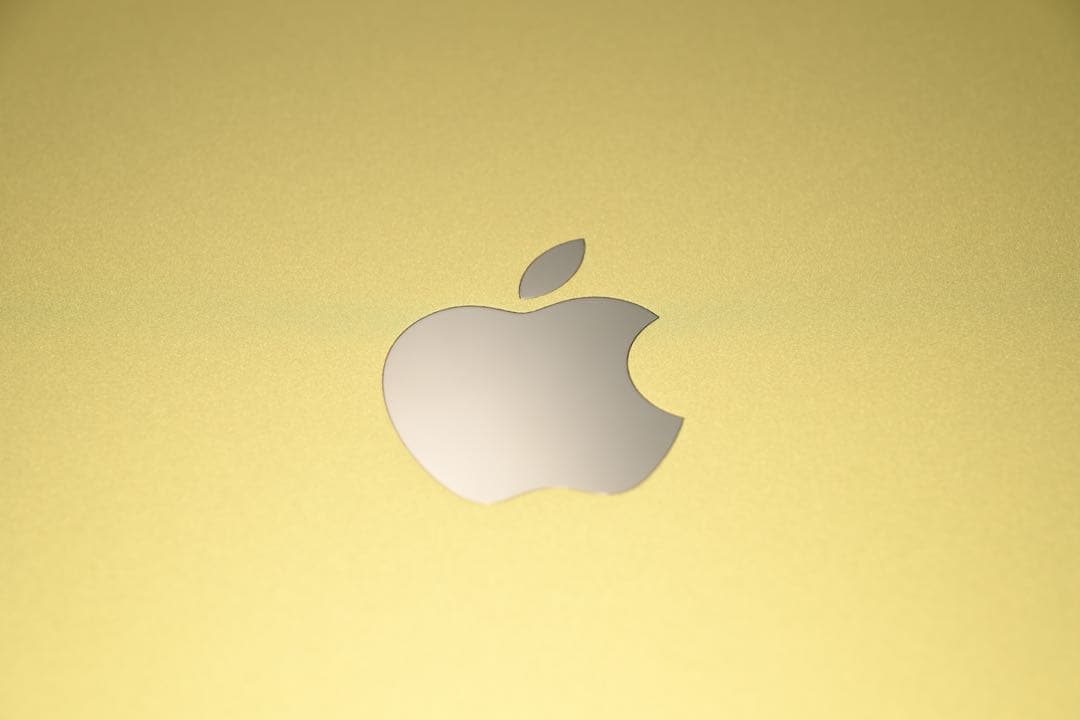 Apple iPad本体 A16 Wi-Fiモデル 256GB イエロー