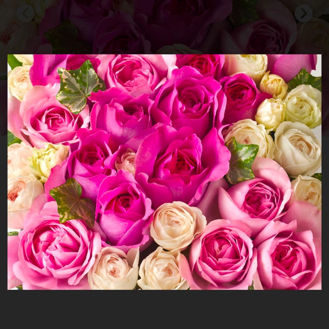 マコ　ラブダイエット　5040 11.3kg×4袋