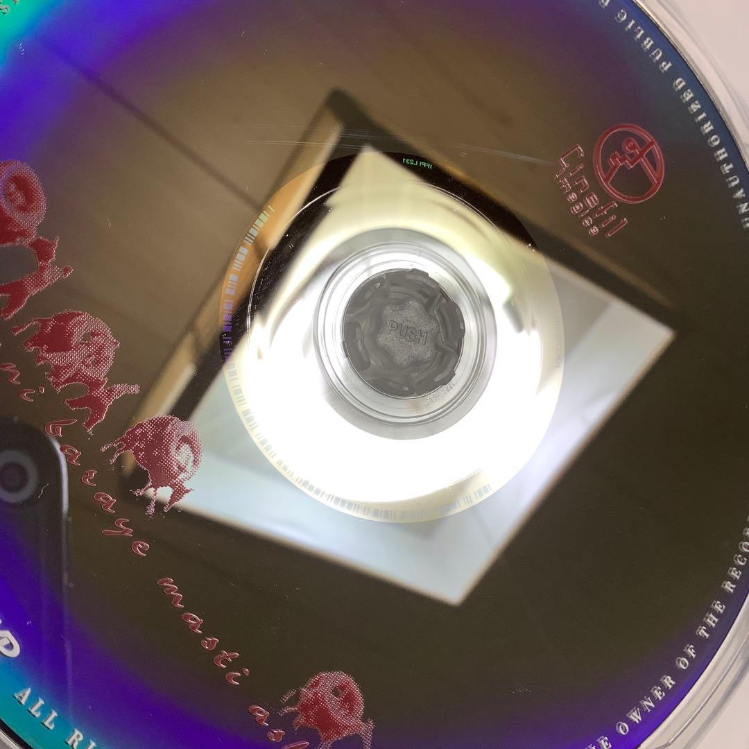 【廃盤】『バフマン・ゴバディ DVD-BOX』『酔っぱらった馬の時間』(DVD)