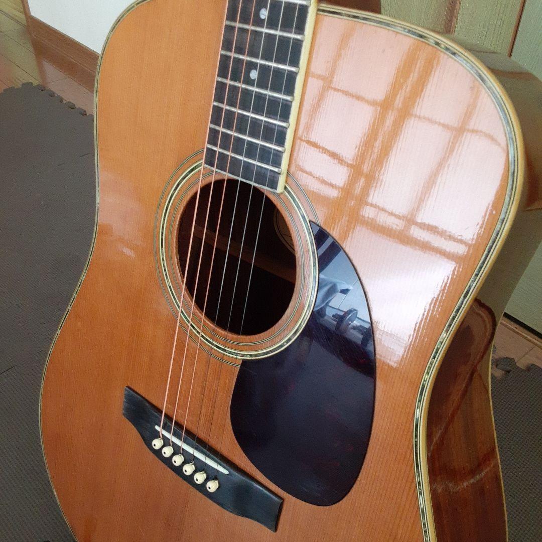 Morris日本製 w30 アコースティックギター ドレッドノート