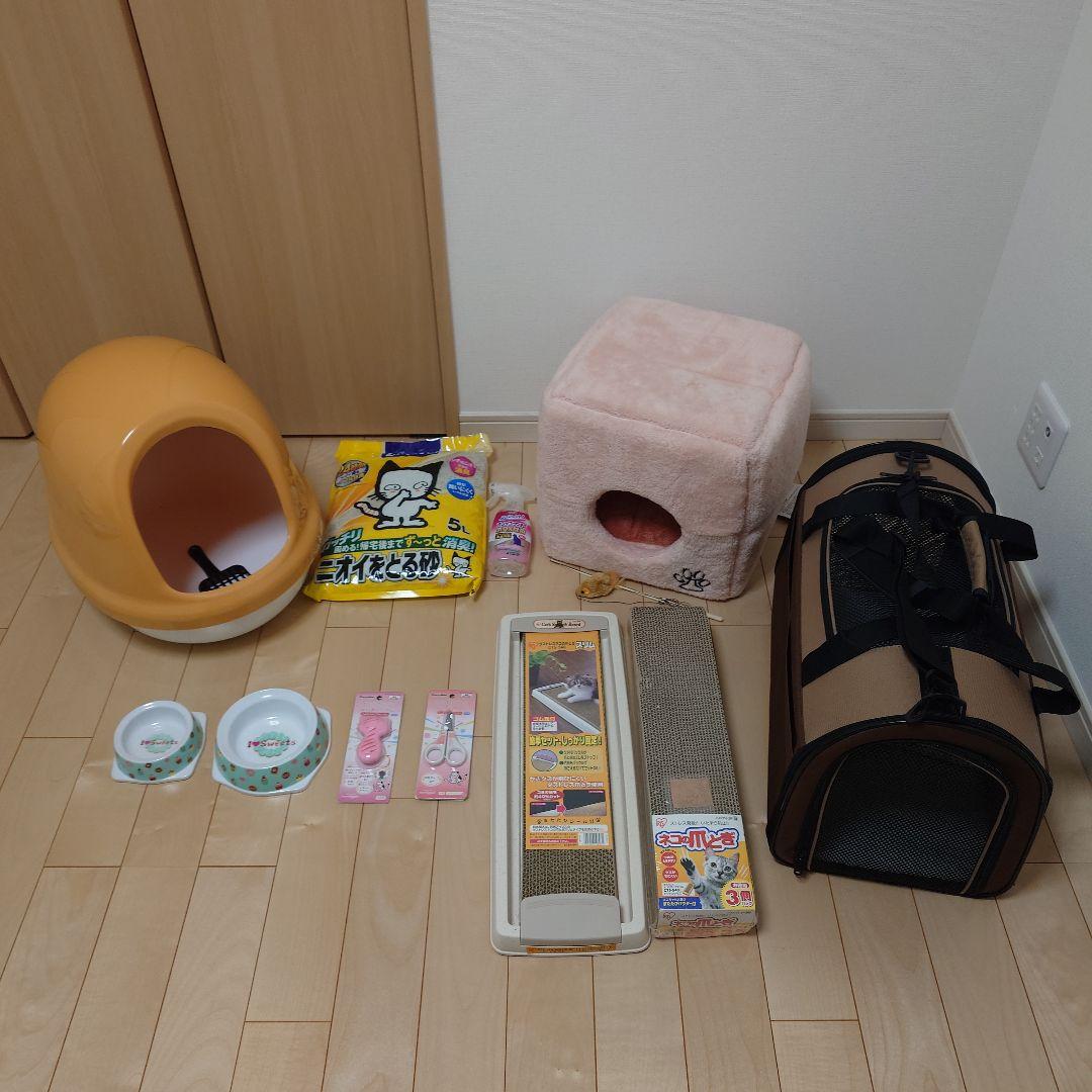 猫　子猫　飼育セット　猫グッズ