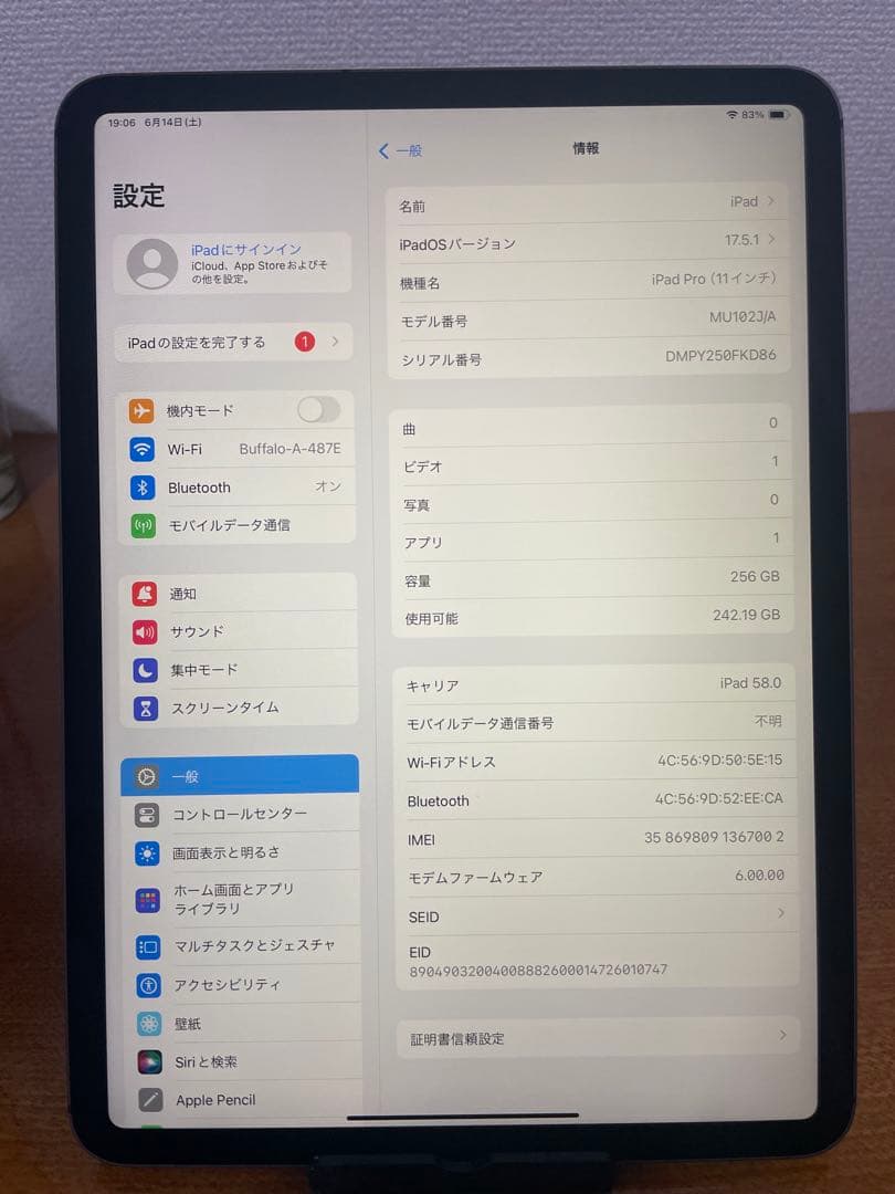 iPad Pro 11 インチ(第1世代) 256GB WiFi + セルラー