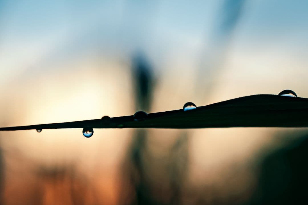 SIGMA 28-45mm 1.8 art Lマウント