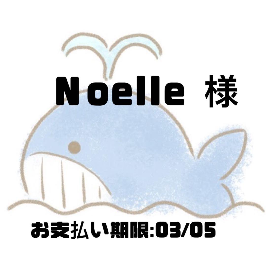 その他 Noelle