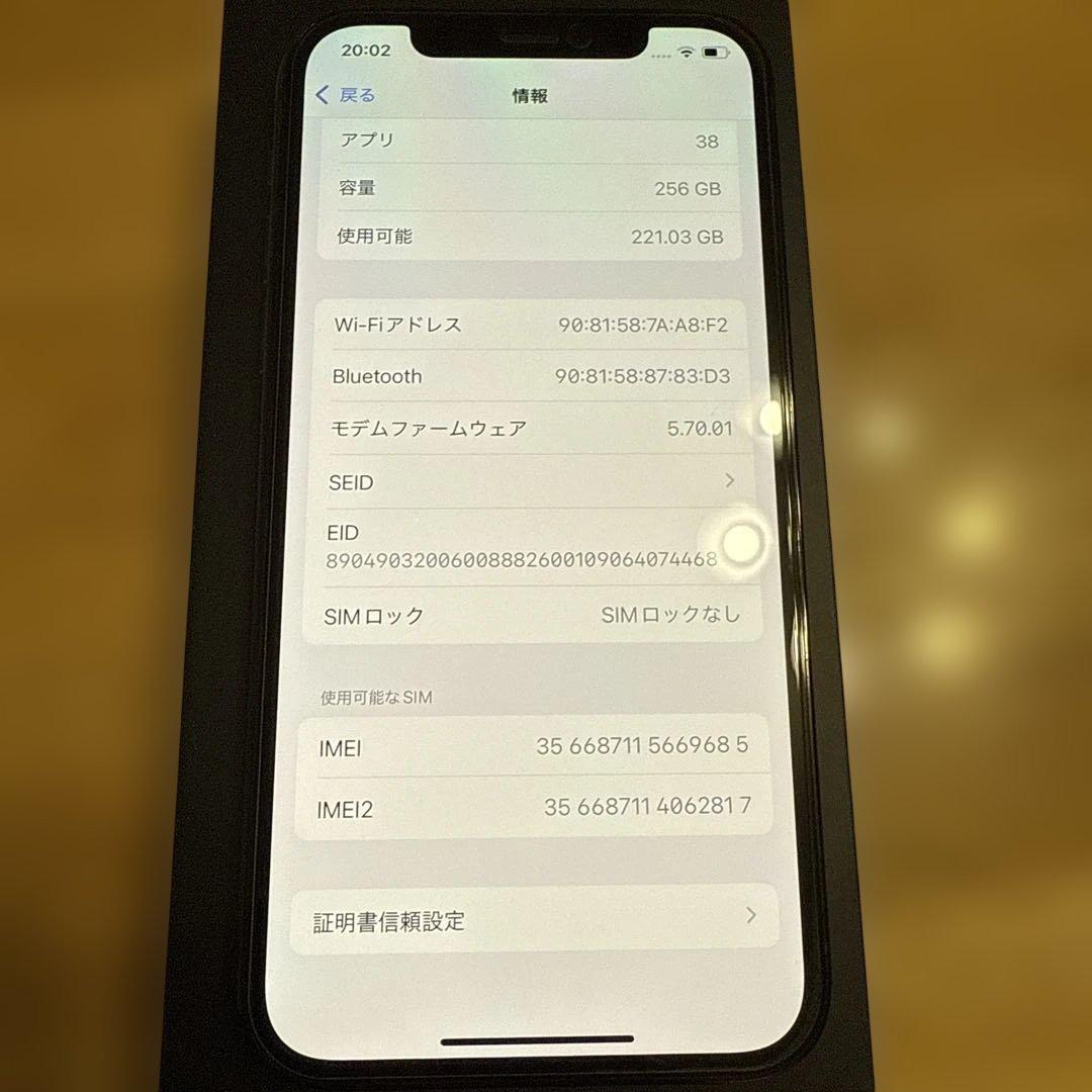 iPhone 12 Pro パシフィックブルー　256GB