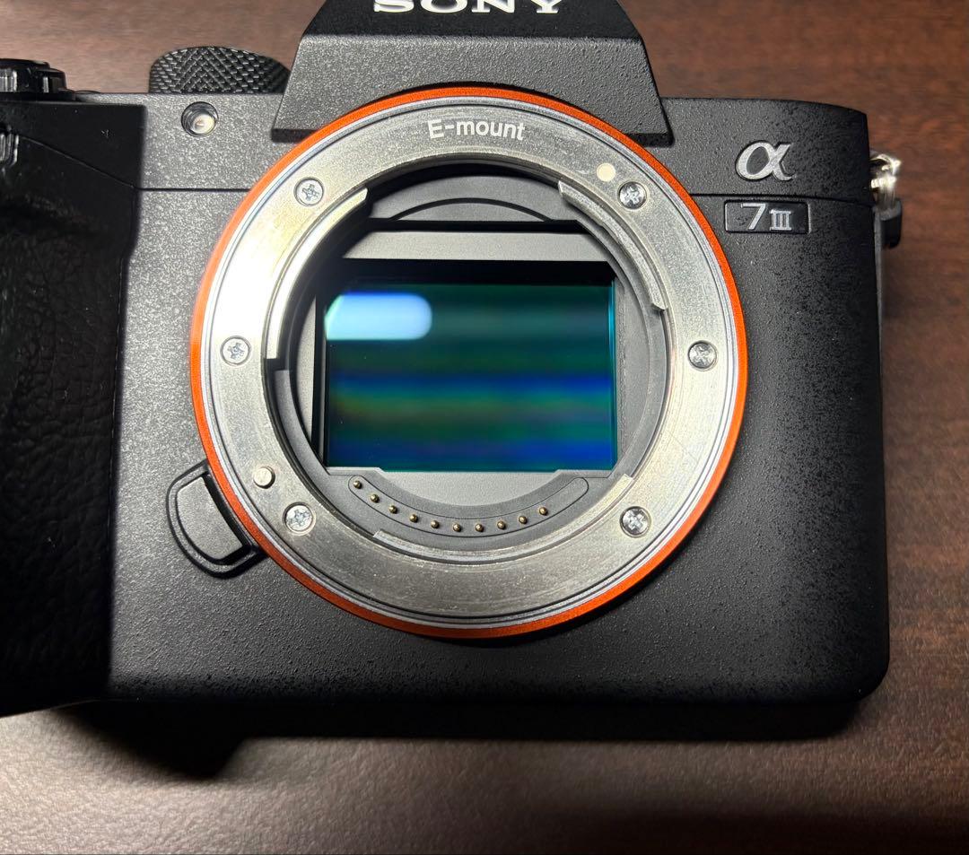 美品［ショット数8,856枚］ SONY α7 III ILCE-7M3