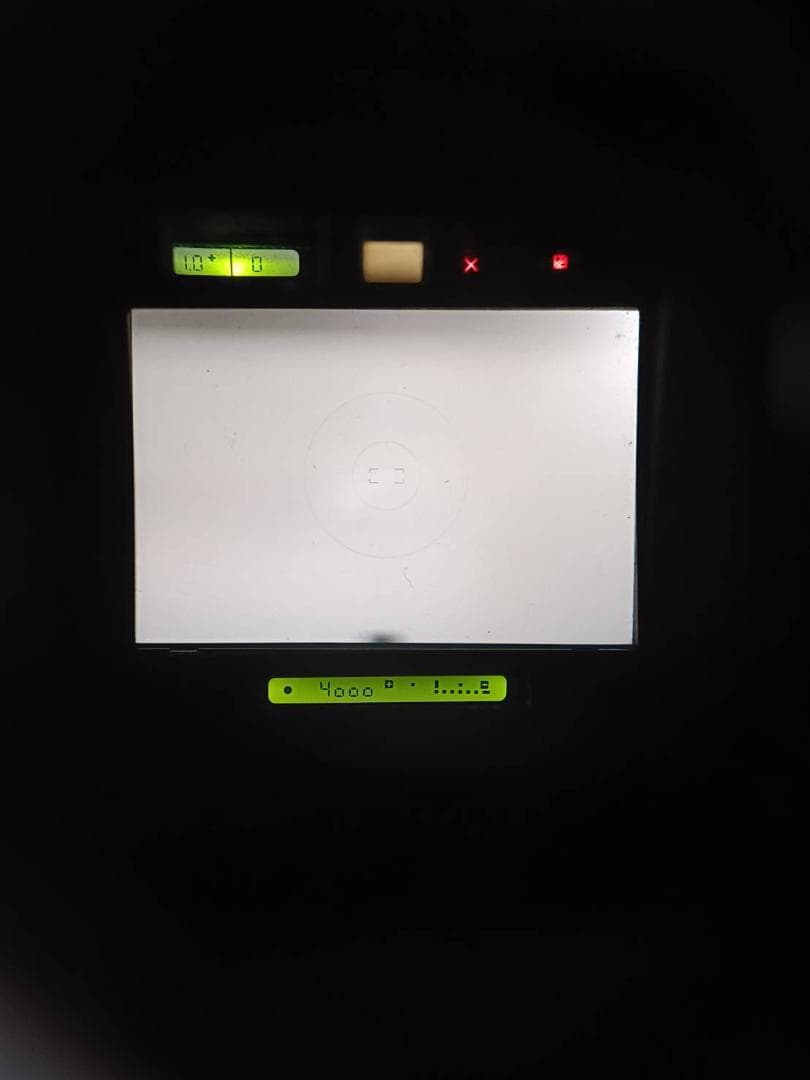 超美品 NIKON ニコン F4 フィルム ※ファインダー液晶滲みなし B728