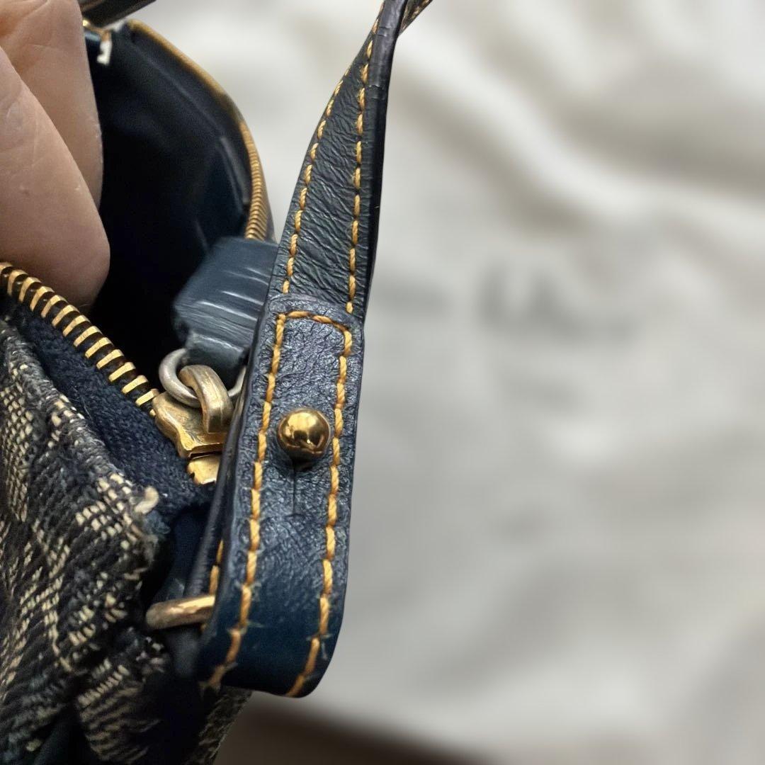 dior ディオール サドル トロッター