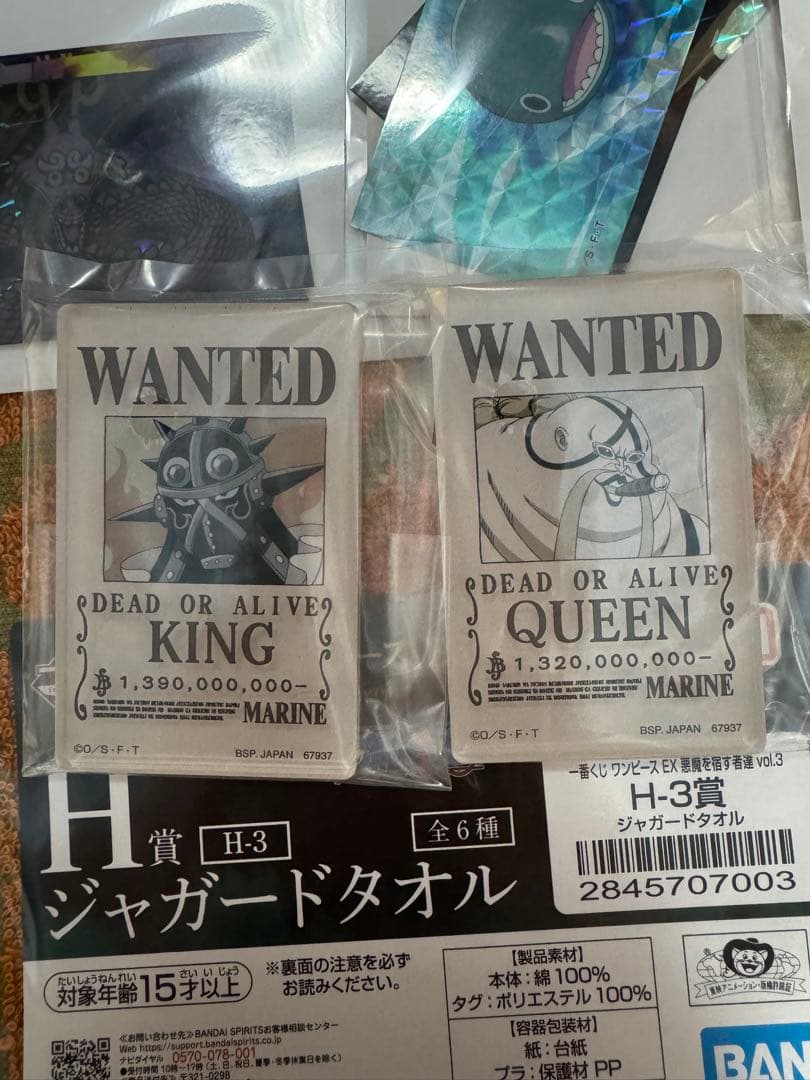 ＊*＊様 一番くじ ワンピースEX悪魔を宿す者達　C賞ピエー＆ガン・フォール魂豪