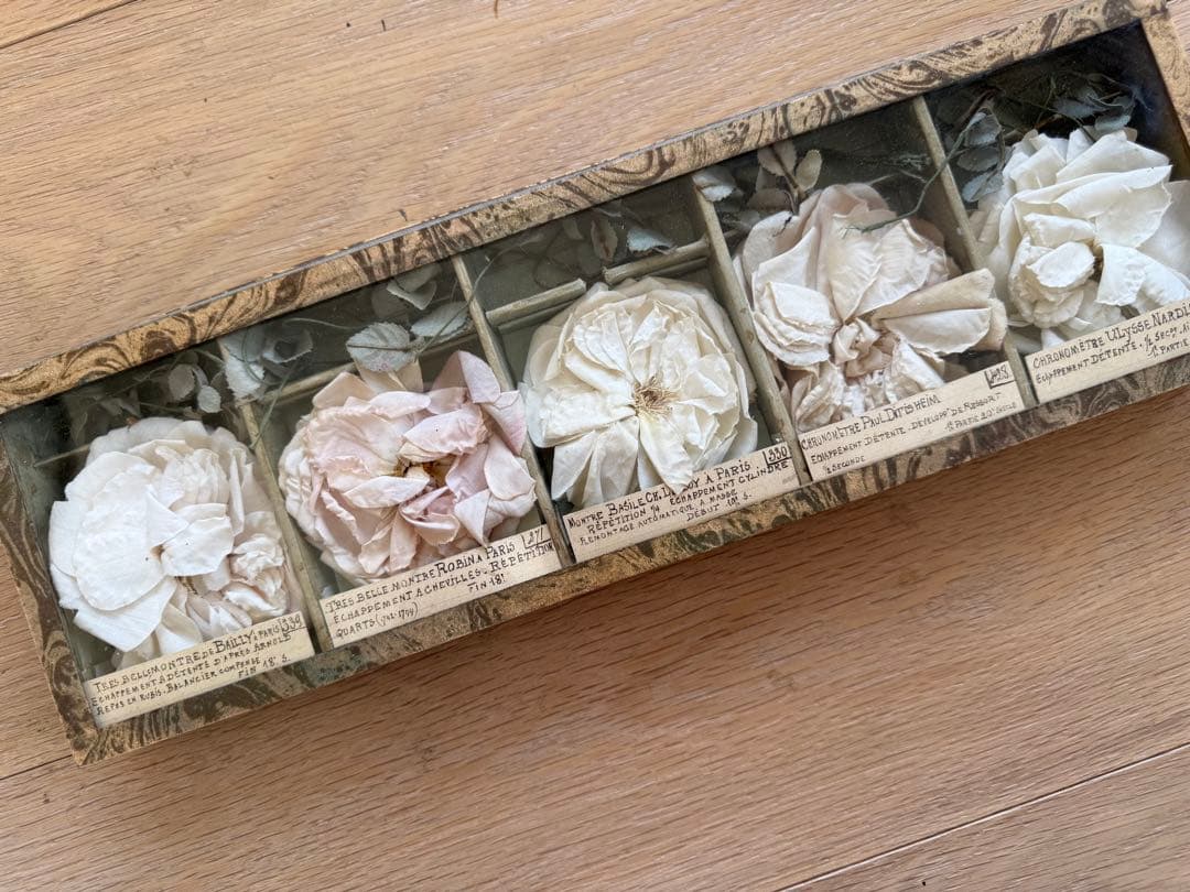 期間限定出品激レアフランスアンティーク布花サンプルガラスケース入り