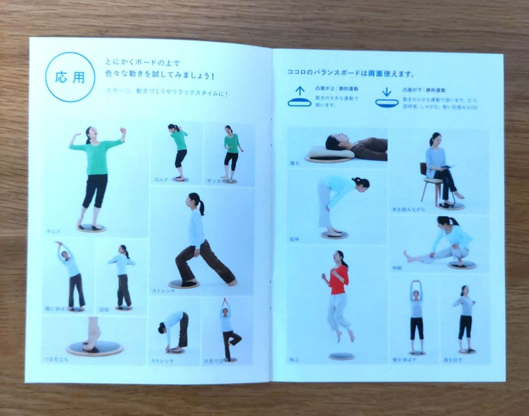 MARUMITSU マルミツ ココロのバランスボード