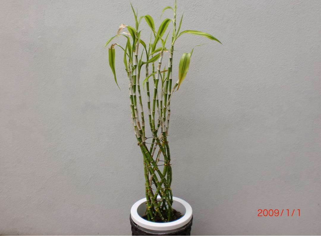 CASIO EXILIM EX-Z90 ブラック デジタルカメラ