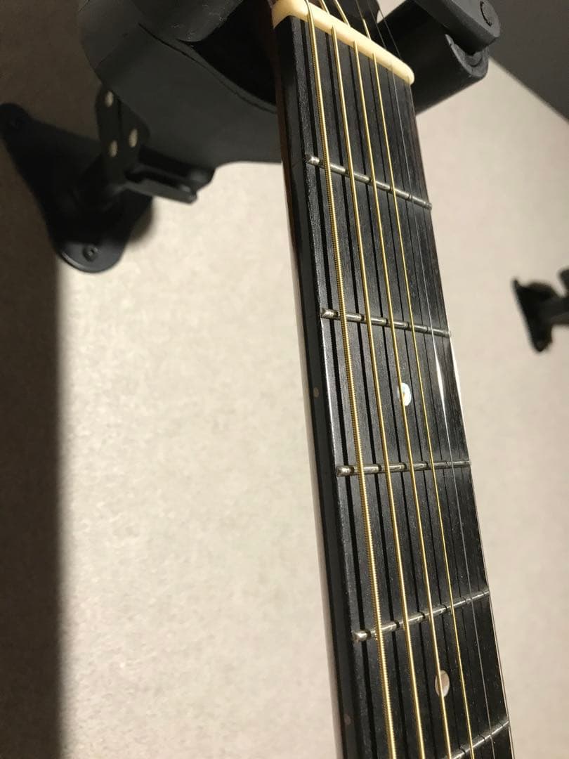 ようへい様ケース付き送料込値下げ！珍しいスロバキヤDOWINA