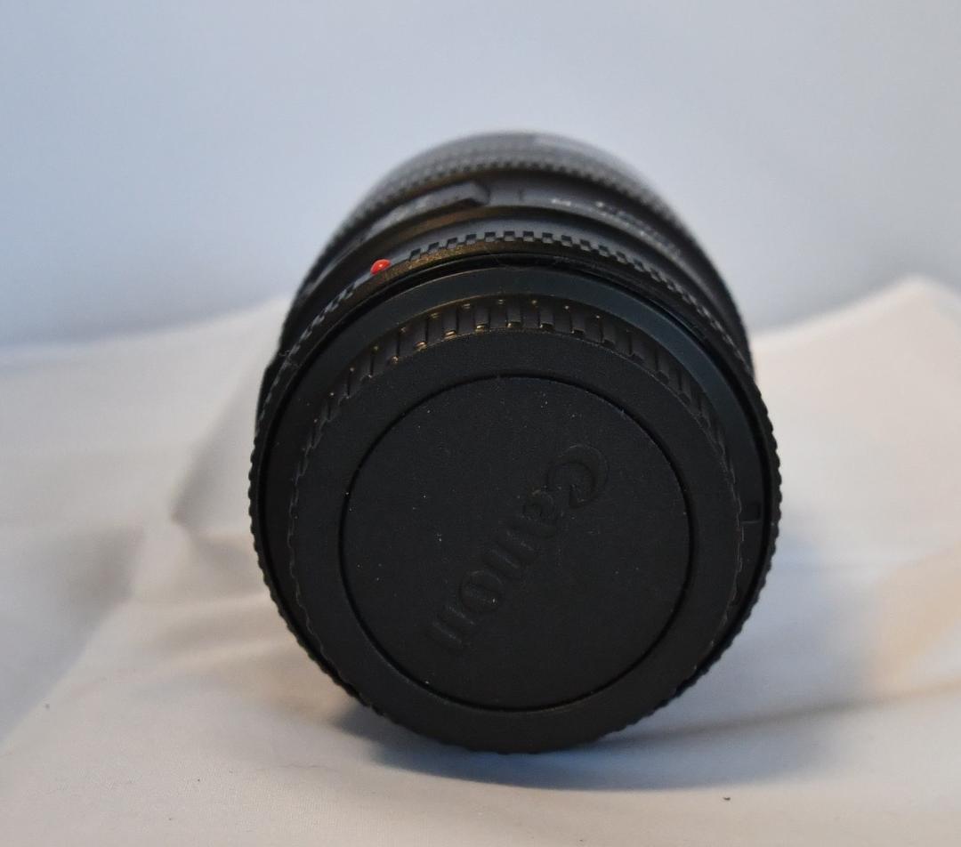 Canon EF100mm F2.8Lマクロ IS USM