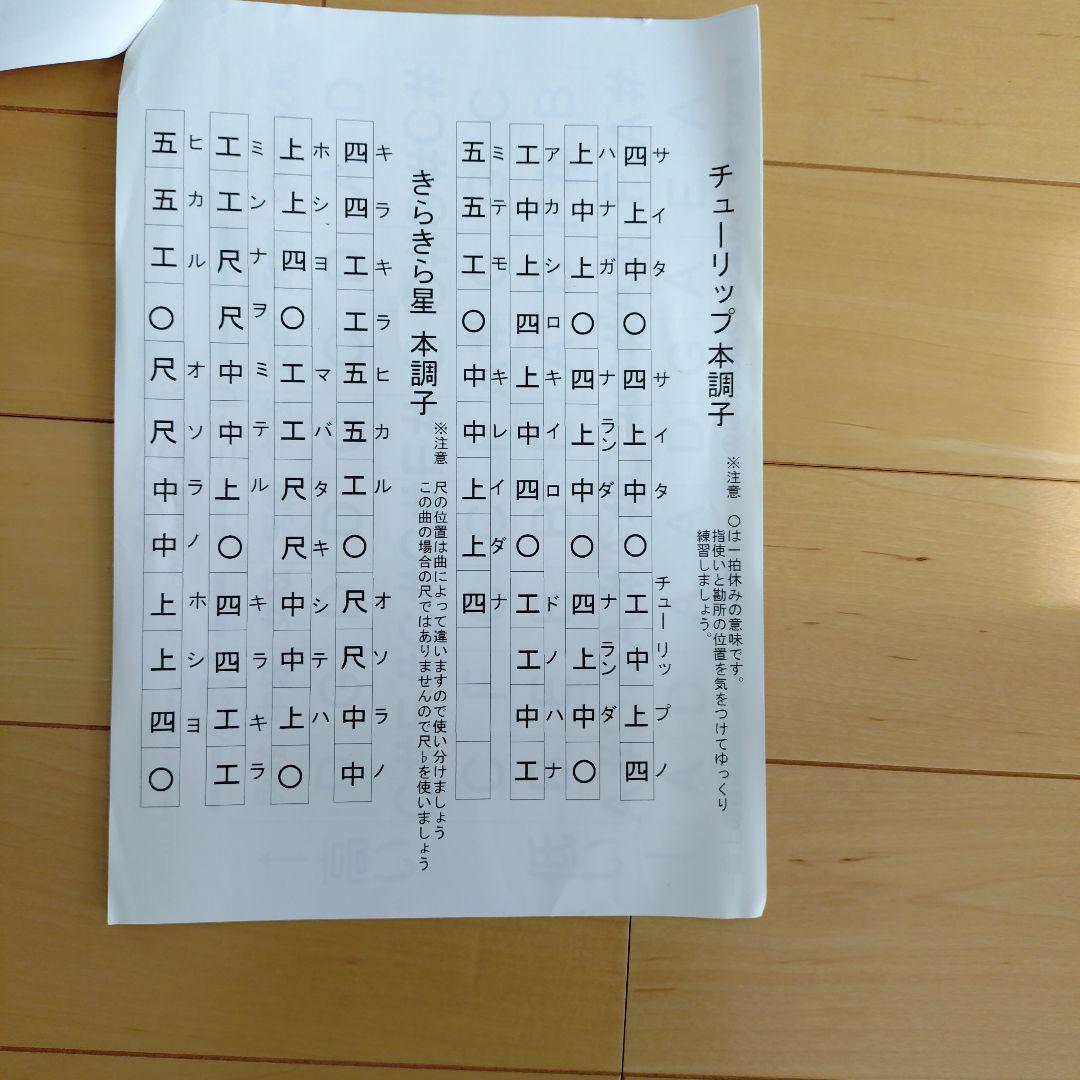 三線本体 黒・金・蛇柄 専用ケース付き　教則本