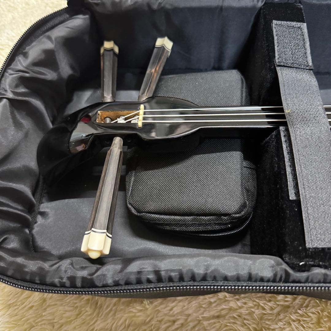 沖縄　三線　蛇皮　琉球 弦楽器　ケース他