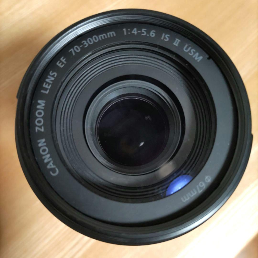 【A】Canon EF 70-300mm f4-5.6 IS Ⅱ USM