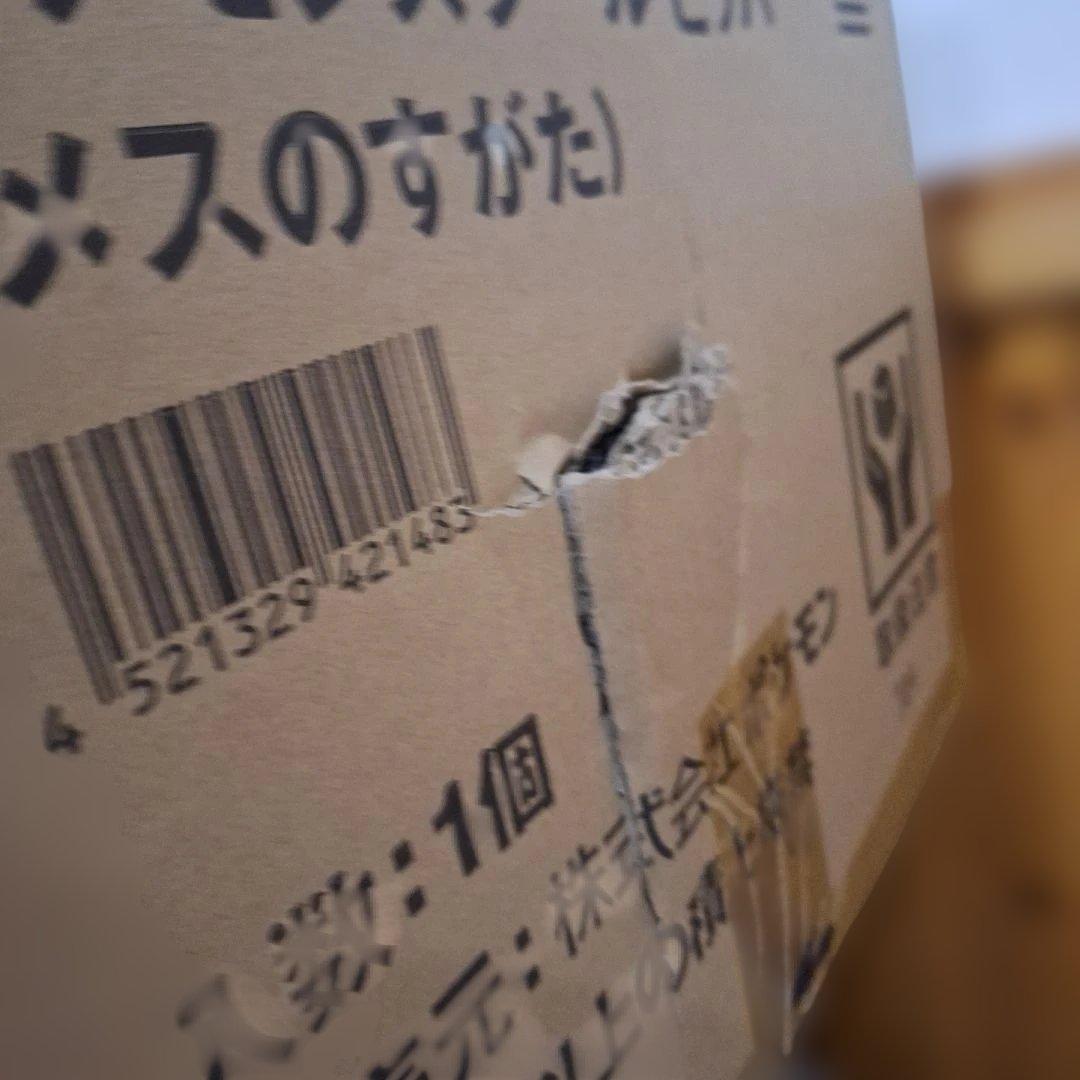 未開封　ポケモンセンター　受注生産　ビッパ　スツール　メス　箱にダメージあり